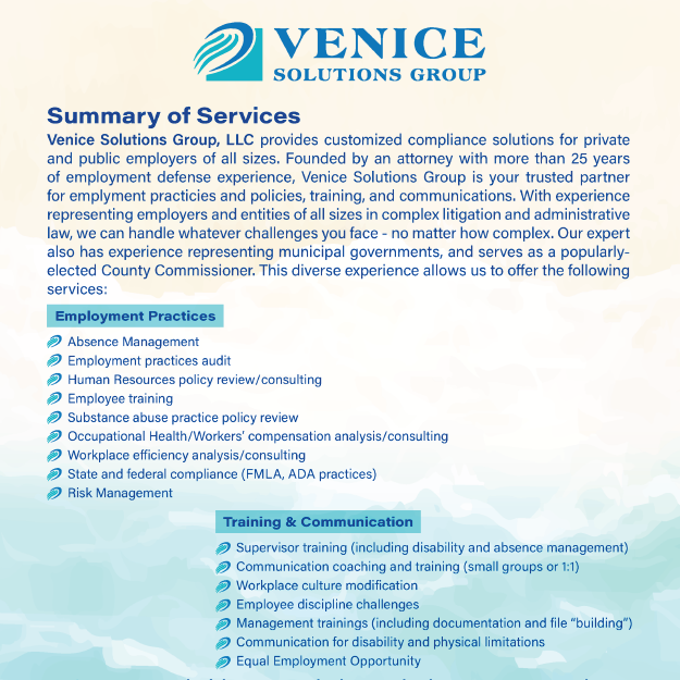 VSG Services Flier