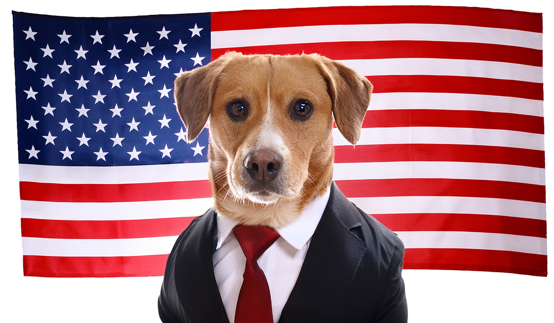 AI-generated image of a patriotic dog with an American flag background.